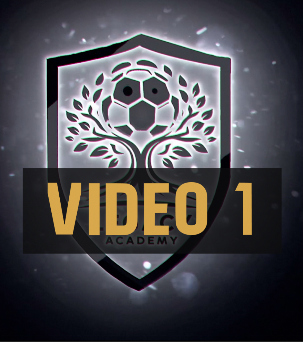 Video 1