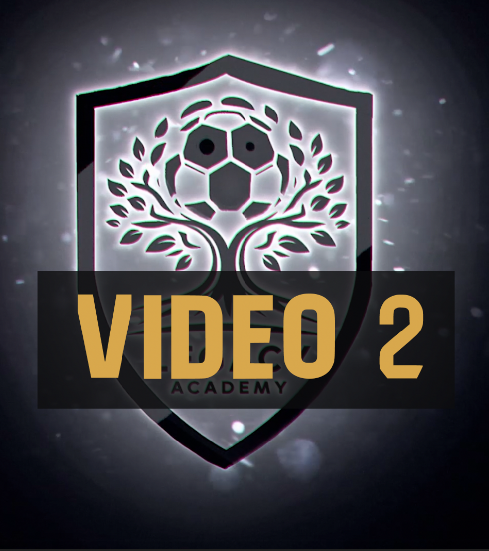 Video 2
